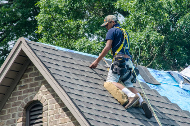 Best Roof Repair Services  in Ventnor City, NJ